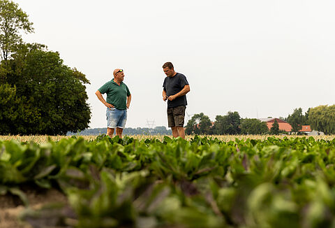 Προς ένα μέλλον χωρίς χημικά στη γεωργία: Το όραμα του καλλιεργητή Koen