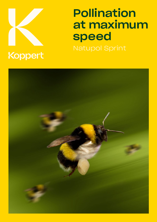 Φυλλάδιο Natupol Sprint