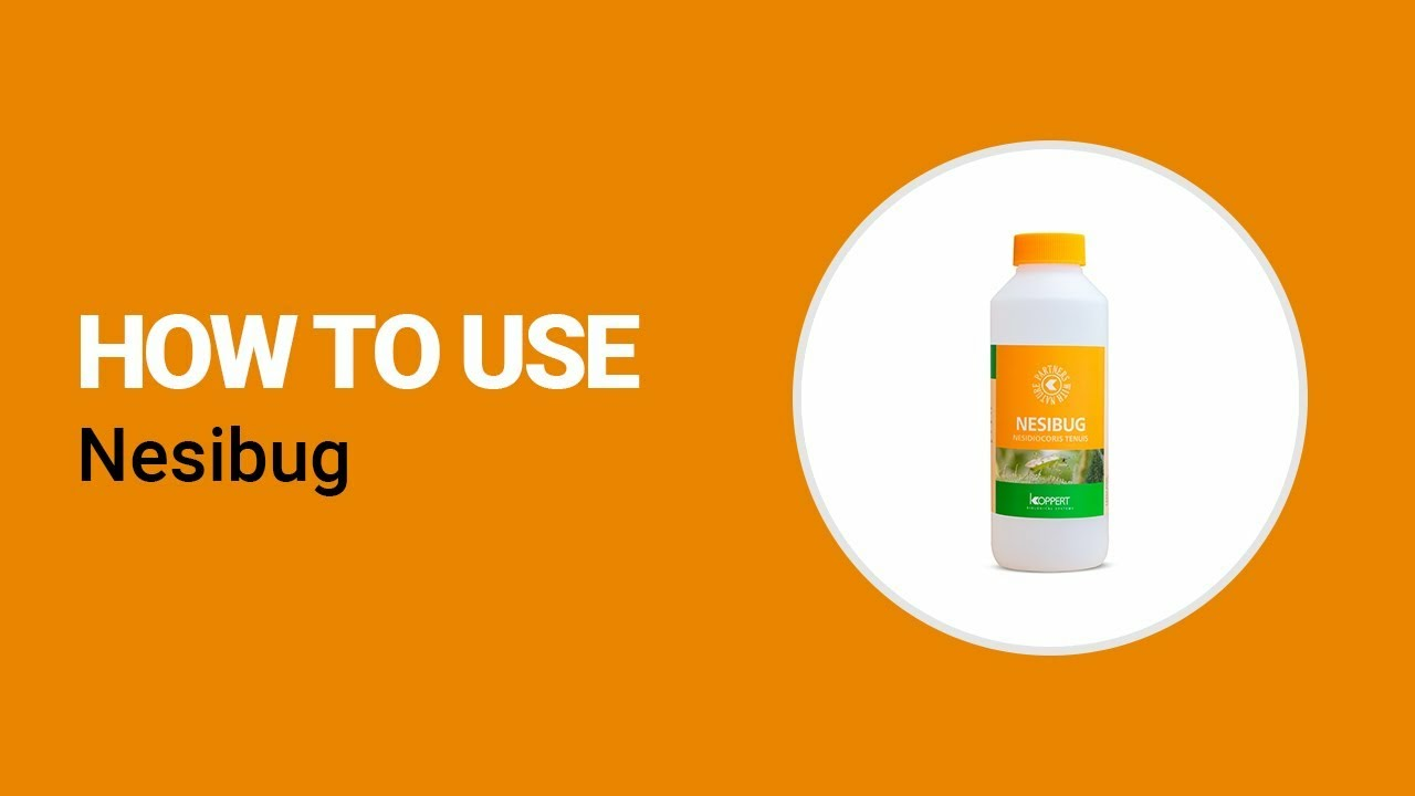 How to use Nesibug from Koppert