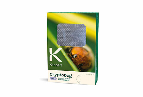 Cryptobug