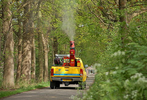 Δενδρολόγος Wolterinck: Entonem: Καταπολέμηση της κάμπιας της πομπής της βελανιδιάς με Entonem
