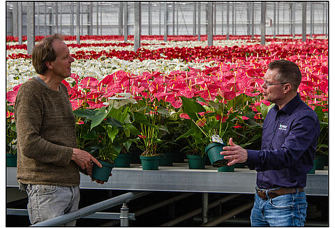 Η Amazone Plants συνεχίζει την πορεία της βιολογικής καλλιέργειας