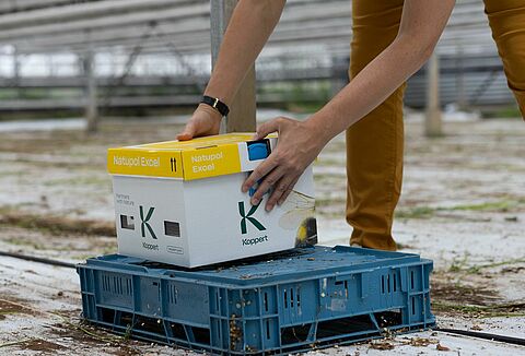 Βέλτιστη τοποθέτηση κυψελών μελισσών