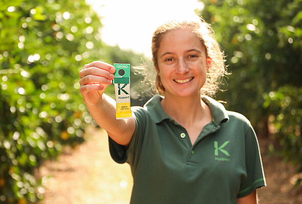Managing pest mites in citrus through IPM