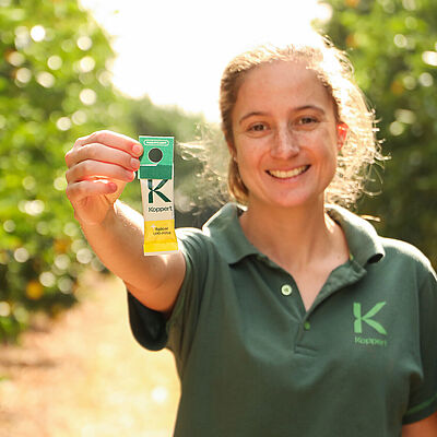 Managing pest mites in citrus through IPM
