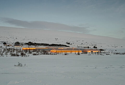 Συμβουλές επικονίασης για τεχνητά φωτισμένες καλλιέργειες