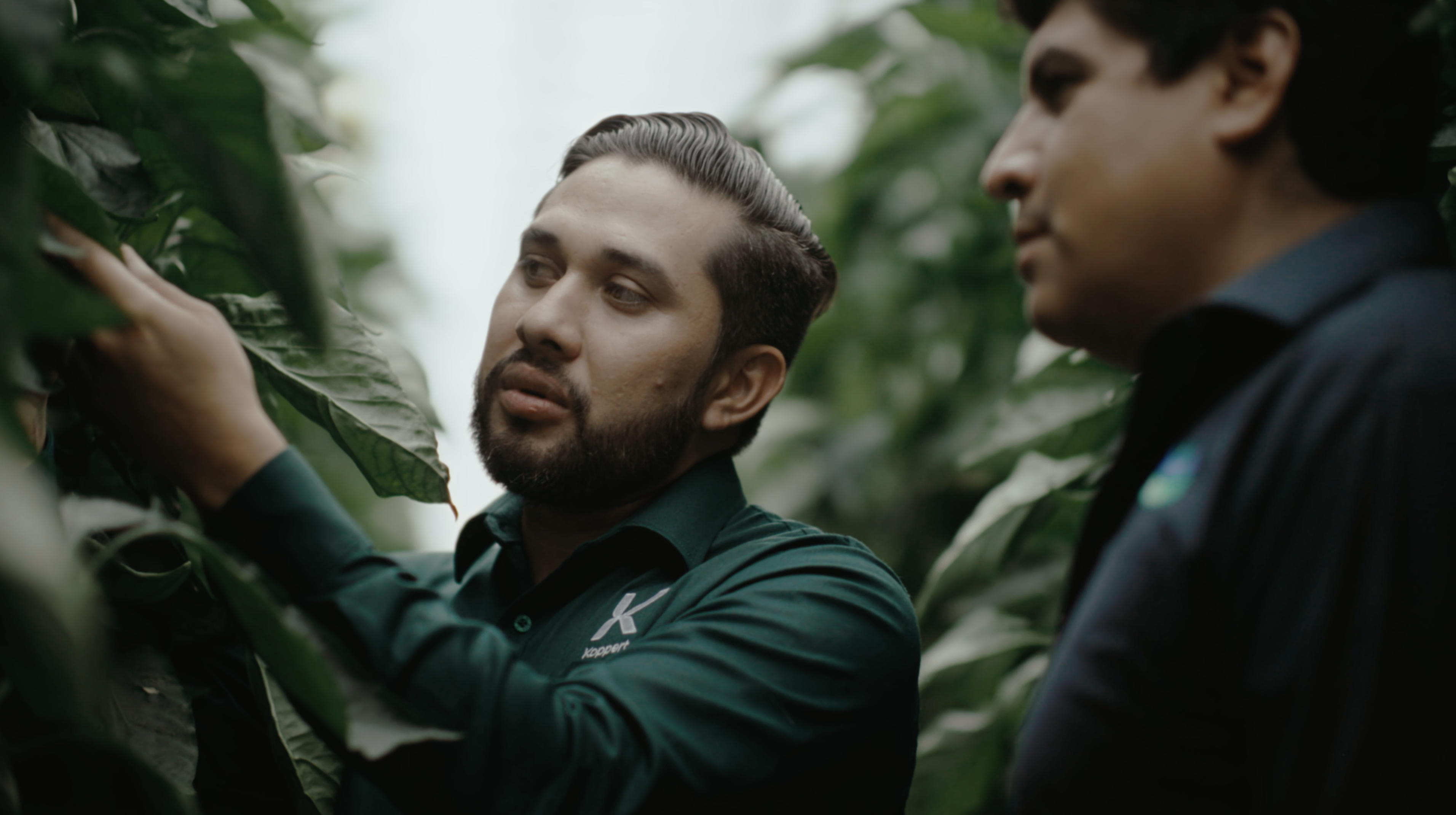 Η La Hacienda Fresh αυξάνει την κερδοφορία των καλλιεργειών χάρη στον βιολογικό έλεγχο