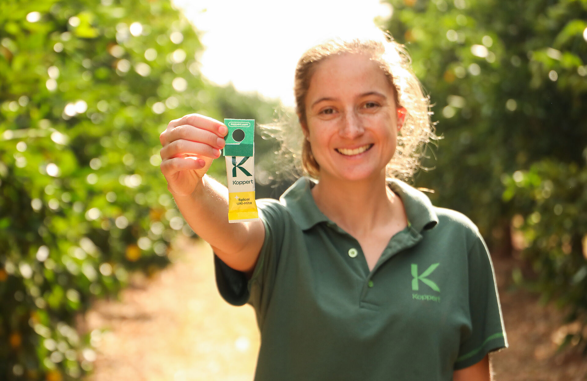 Managing pest mites in citrus through IPM